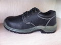 supply safety shoes of FS-316 1