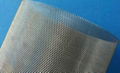 titanium mesh