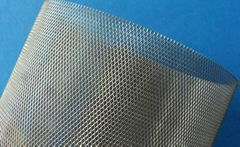 titanium mesh 