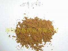 cordyceps sinensis mycelium extract