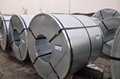 stainless steel strip 3