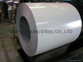 steel coils