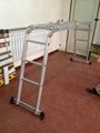 Industrial(straight, combination) ladder 3