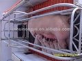 Piglet small pig feeding farrowing crate for sale 4