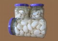 pickled garlic in jar  4