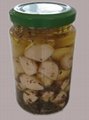 pickled garlic in jar  3