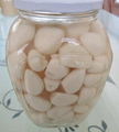 pickled garlic in jar  5