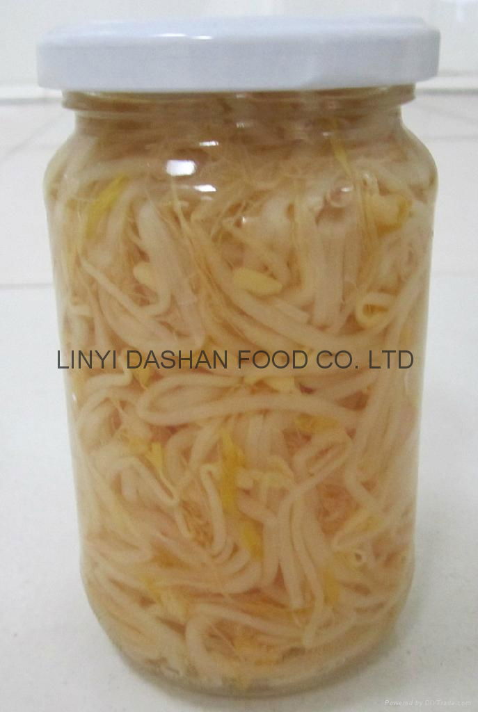 pickled mung bean sprout in jar  3