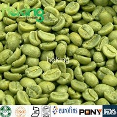 Green Coffee Bean Extract Chlorogenic acid 