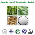 Giant Knotweed Extract Resveratrol 3