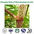 Giant Knotweed Extract Resveratrol 4