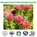 Rhodiola Rosea Extract 3