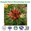 Rhodiola Rosea Extract 2