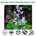 Horny Goat weed Extract Epimedium Extract 3