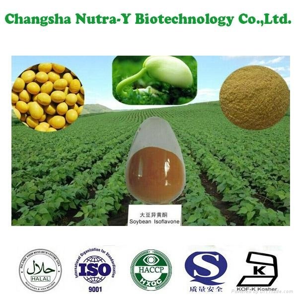Soybean extract 4