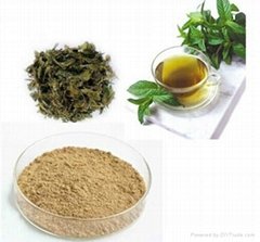 Green Tea Extract 95% EGCG