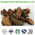 CAS: 39012-20-9 Rhizoma Picrorhizae Extract Picroside II 5% 2