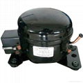 127V/60Hz compressor   1/14 hp（ASV20HD）