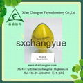 Factory supply anti-tumor natural 98%