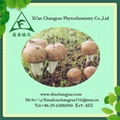 agaricus blazei extract