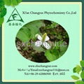 Antibiotic pure nature heartleaf