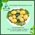 Factory Supply Lemon Extract Limonin 98%