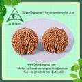 High quality black walnut extract powder 1