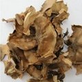 Hot selling pure natural walnut extract powder 2
