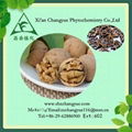 Hot selling pure natural walnut extract powder