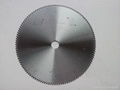 Dayou TCT Sawblades for Cutting Plexiglas 2