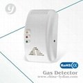 Stand alone gas detector 2