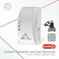 Hot sale Gas and Carbon monoxide detector 