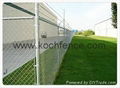 Chain link fence 4