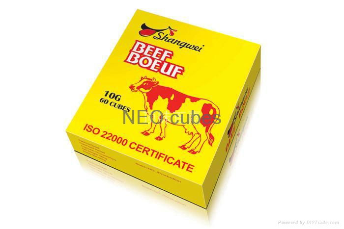 NEW ARRIVE Hot sales Africa food 10g bouillon cubes 