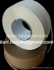 Mingrui Paper Technology Co. Ltd 