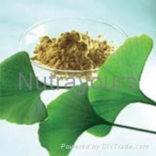 High Quality Ginkgo Biloba Extract