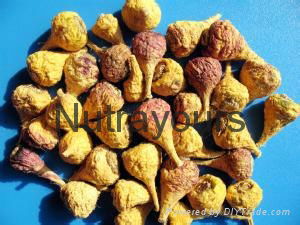 Pure Natural Maca Extract, Ratio Extract 5:1/10:1 2