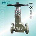 Ansi Standard Bellows Seal Globe Valve For High Pressure  1