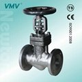 Forged Steel Bellows Seal Globe Valve  1
