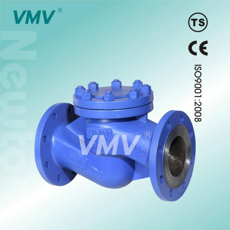 Din Standard Check Valve 