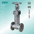 Forged Steel Bellows Seal Gate Valve  1