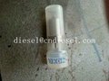 Injector Nozzle Dn0pdn113