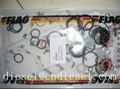 Diesel Repair Kits 2 467 010 003 1