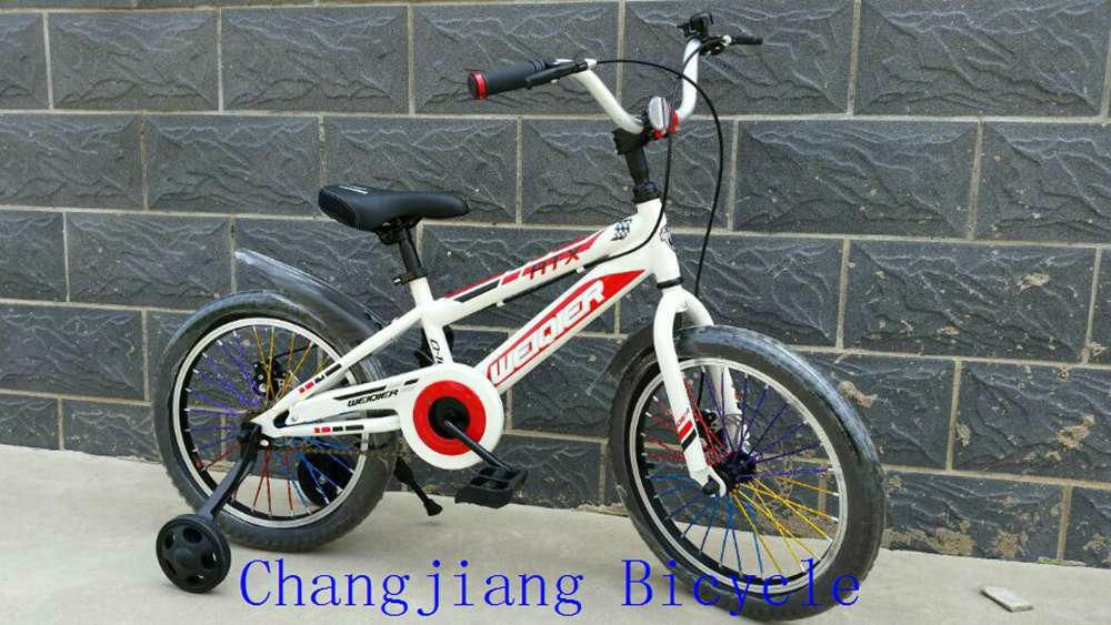 cool kids bike for boys