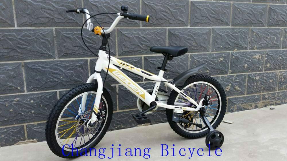 cool kids bike for boys 2