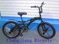 20 inch cheetah frame free style bmx bike 3