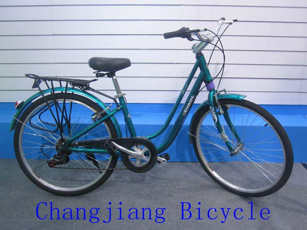Europe market  quality road bike for both woman and man 4
