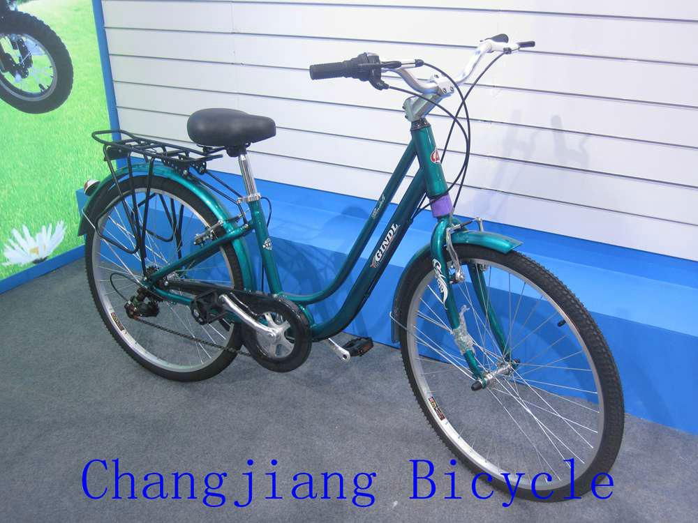 Europe market  quality road bike for both woman and man 3