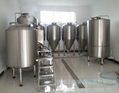 500L turnkey beer fermentation equipment 3