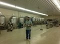 Stainless steel beer fermentation equipment for sale 2